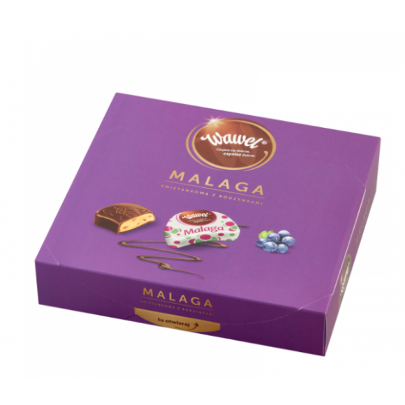 Wawel Malaga Milk & Raisins chocolates 430g/15.2oz