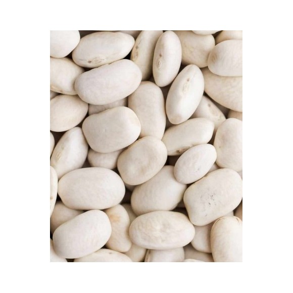 Fasola Biala White Beans 1lb 454g